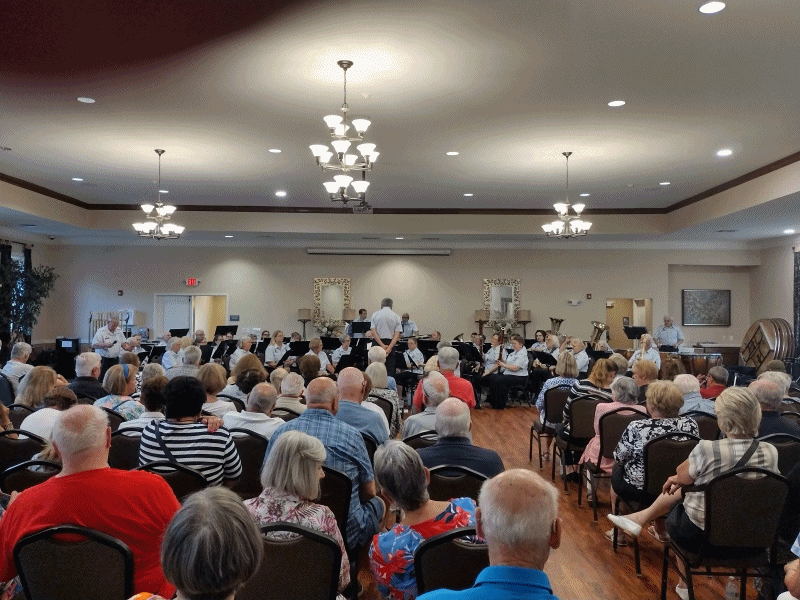 Village Of Hillveiw 2023